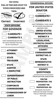 Sample Ballot - MNYS Only.png